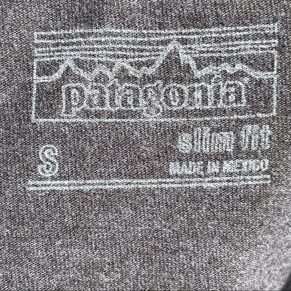 Patagonia Gray Tee with Gold Graphic - Picture 14 of 15